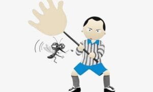 انواع البعوض