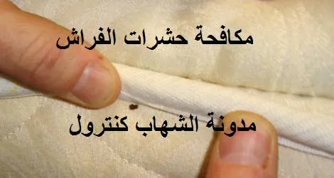 مكافحة بق الفراش