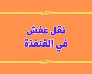 اسعار شركات نقل العفش بالقنفذة