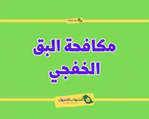 شركة مكافحة البق بالخفجي