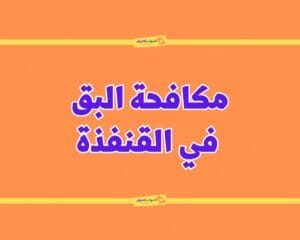 شركة مكافحة البق بالقنفذة