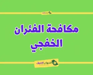 شركة مكافحة الفئران بالخفجي