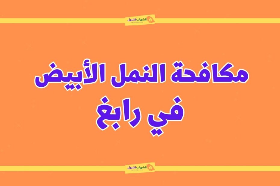 شركة مكافحة النمل الابيض برابغ