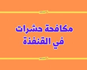 شركة مكافحة حشرات بالقنفذة