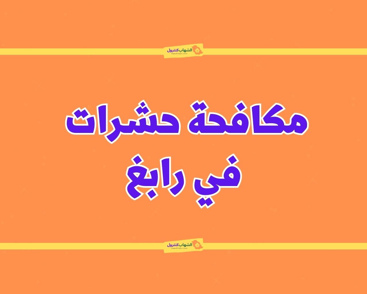 شركة مكافحة حشرات برابغ