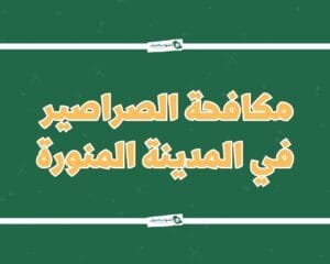 شركة مكافحة الصراصير بالمدينة المنورة