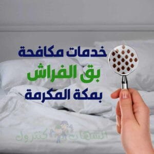 شركة مكافحة البق بمكة خصم 50%