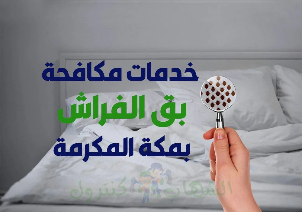 شركة مكافحة البق بمكة