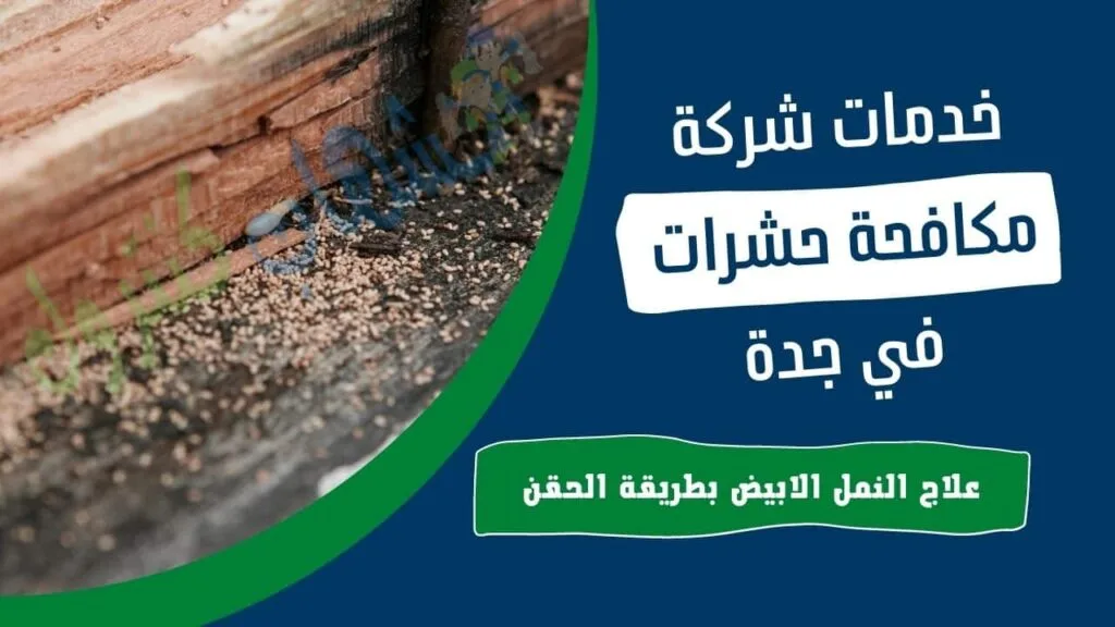 حقن مبيدات النمل الابيض في جدة