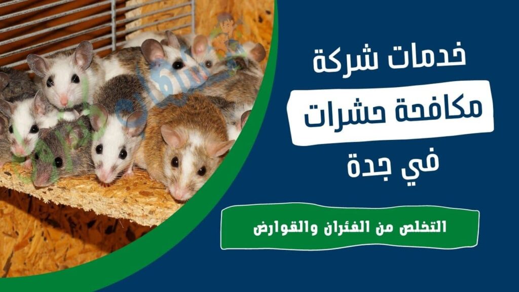 شركة مكافحة الفئران بحي النسيم جدة