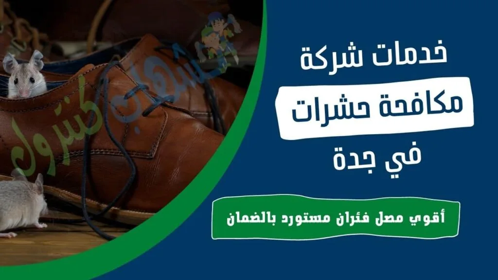 شركة مكافحة الفئران بجدة