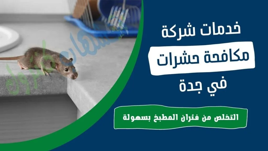 التخلص من فئران المطبخ بجدة