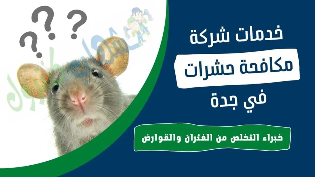 سم فئران قوي بجدة