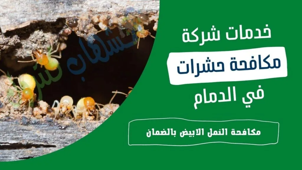 شركة مكافحة النمل الابيض بالدمام