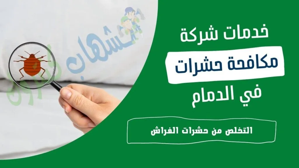 شركة مكافحة الحشرات بالدمام