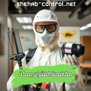 شركة مكافحة الفئران بمكة