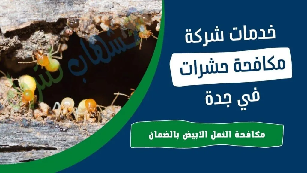 شركة مكافحة النمل الابيض بجدة