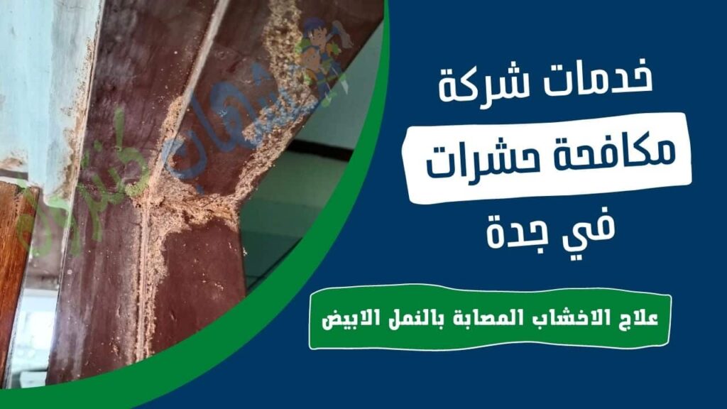 علاج الأخشاب المصابة بالنمل الابيض في جدة
