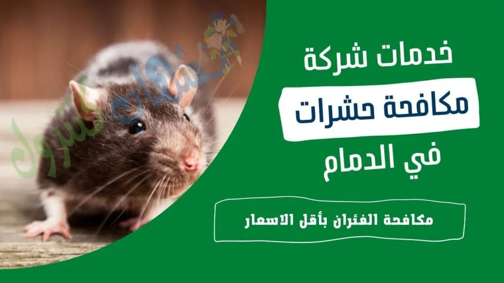شركة مكافحة الفئران بالدمام