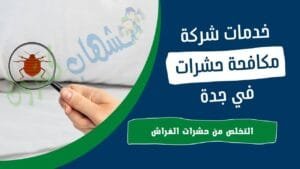شركة مكافحة البراغيث بجدة