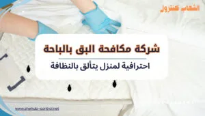 مكافحة البق بالباحة