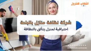 شركة نظافة منازل