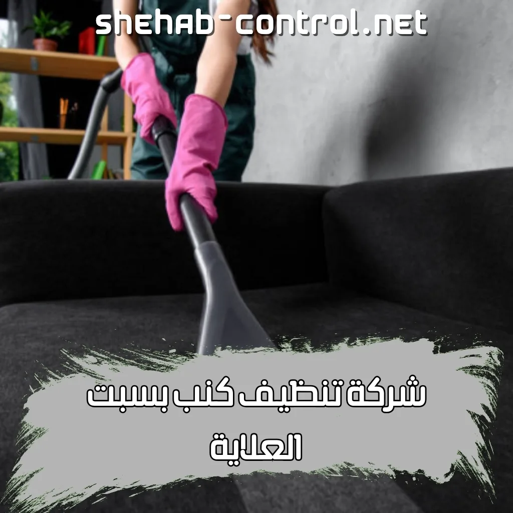 تنظيف كنب بسبت العلاية