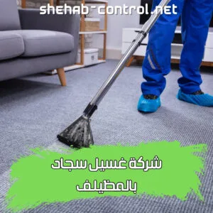 شركة غسيل سجاد بالمظيلف