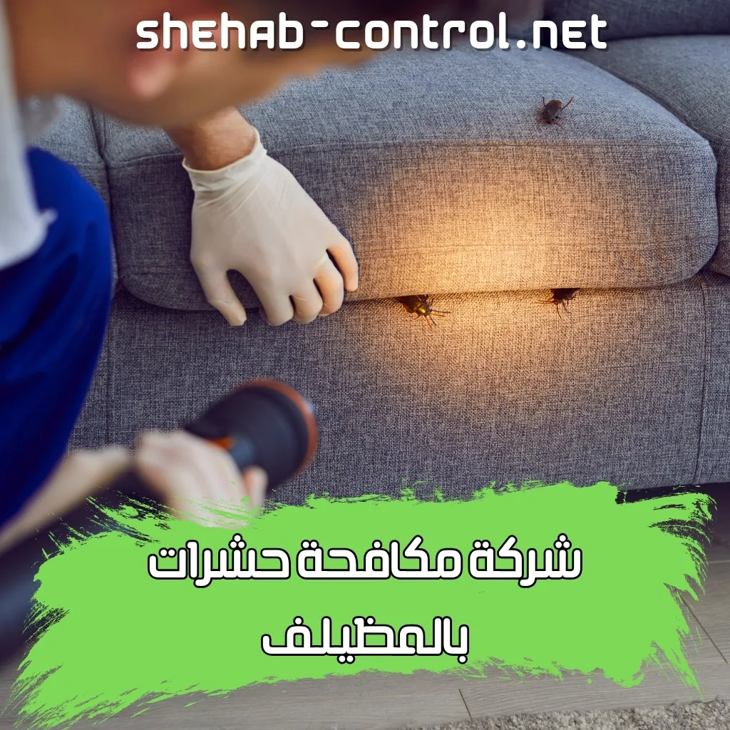 شركة مكافحة حشرات بالمظيلف