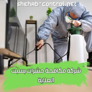 مكافحة حشرات بسبت العلاية