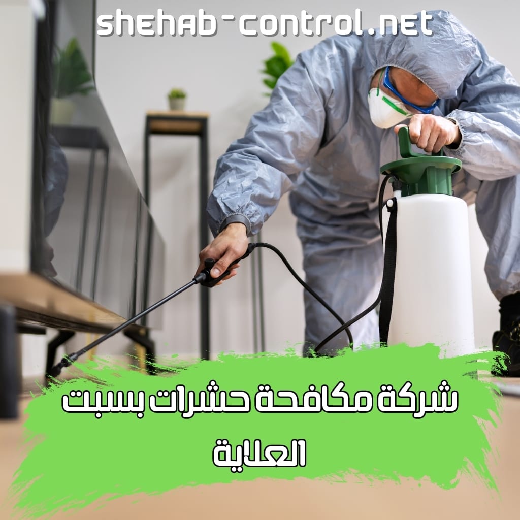 شركة مكافحة حشرات بسبت العلايا