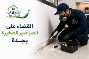 القضاء على الصراصير الصغيرة بجدة
