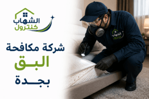 شركة مكافحة البق بجدة