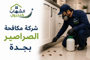 شركة مكافحة الصراصير بجدة