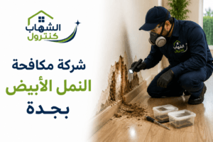 شركة مكافحة النمل الأبيض بجدة