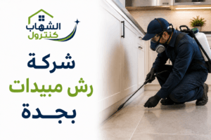 شركة رش مبيدات بجدة
