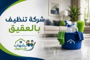 شركة تنظيف بالعقيق