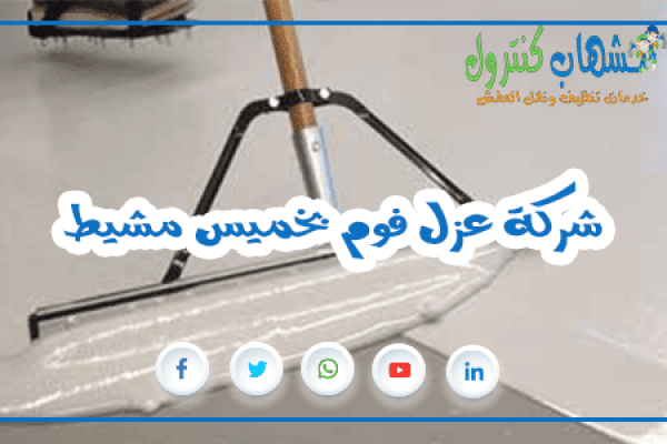 شركة عزل فوم بخميس مشيط